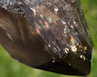 Stunning Golden Light Rainbow Smoky Quartz – Erongo Mountain Namibia, High Vibration Protection & Grounding Crystal 170g 3.25&quot;x1.5&quot;