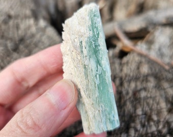 Rare! New Find 100% Natural Color Rough Green Blue Kyanite Crystal Zambia/High Vibration Chakra Alignment Stone 59g 2 3/8&quot;