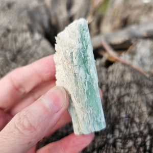 Rare! New Find 100% Natural Color Rough Green Blue Kyanite Crystal Zambia/High Vibration Chakra Alignment Stone 59g 2 3/8&quot;