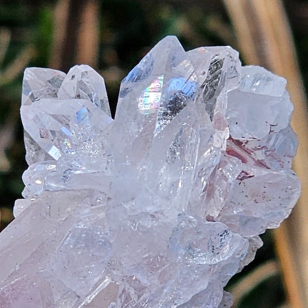 Beautiful Rare Colombian Rose Pink Hue Lemurian Seed Quartz Cluster/High Vibration Higher Heart Energy Crystal 42.2g 2 3/8"×1 1/8"