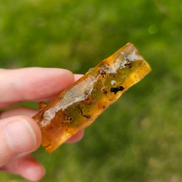 Rare Honey Gold Copal Amber With Insects from Madagascar/A Quality Genuine Natural Amber With Bug 9.9g 2"