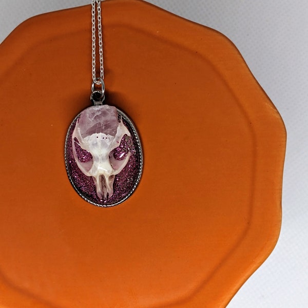 Real rodent skull necklace pendant with clear quartz, animal bone jewelry necklace with skull