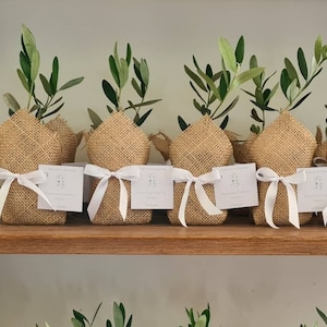 Olive Tree Wedding Favors: Eco-Friendly Bonbonniere with Personalized Tag - Bulk Corporate/Business Order Discounts