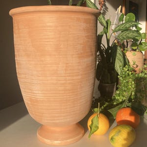 Puede incluir: Una maceta grande de color terracota con un borde ancho y una base de pedestal. La superficie texturizada de la maceta es visible. La maceta está llena de plantas verdes. Naranjas y un limón están en primer plano.