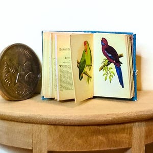 Perroquets miniatures livre accessoire de maison de poupée à l&#39;échelle 1:12, livres de maison de poupée bibliothèque de petits oiseaux, accessoire de bibliothèque de maison de poupée déco oiseau modèle réduit