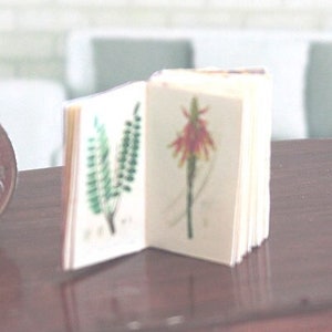 Botanica medica, libro in miniatura in stile antico in scala 1/12, miniatura per casa delle bambole, libro per casa delle bambole, libro di erbe in miniatura, libro di medicina, SPEDIZIONE AU