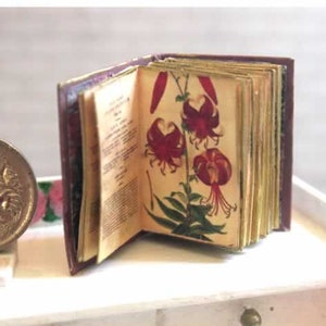 Volume 2, The Botanists Repository, 1:12 Scale Dollhouse Miniature, Antique Miniature Book,  Dollhouse Book, Botanical Book, AU SHIPPING