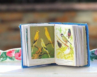 Canaries Miniature Book, 1:12 Scale Dollhouse Miniature, Dollhouse Book, Bird Book, Song Bird Book, Canary Book, Vintage Book. AU SHIPPING