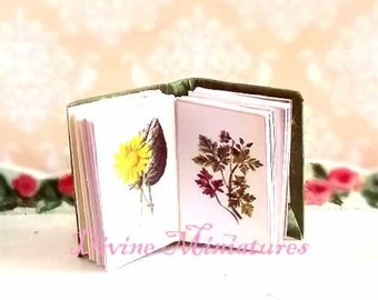 May include: A miniature book with a green cover is open to reveal two pages with pressed botanical specimens. The book is sitting on a white table with a blue glass vase and a coin with a hedgehog design.