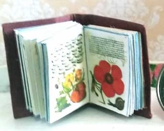 Italian Renaissance Calligraphy Book Miniature, Antique 1500s Dollhouse Library Manuscript,  AU POSTAGE