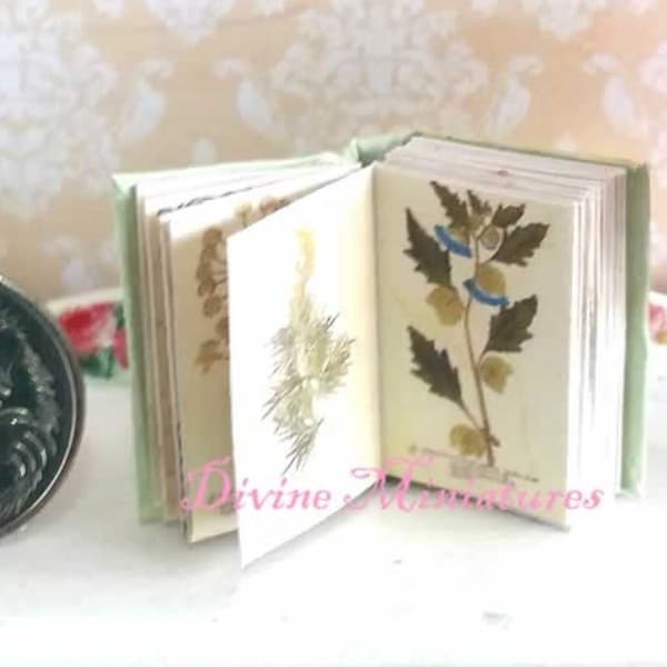 Herbarium 1:12 Scale Dollhouse Miniature, Dollhouse Book, Botanical Book, Herb Book, Plant Book, 17th Century Book US DOMESTIC  SHIPPING