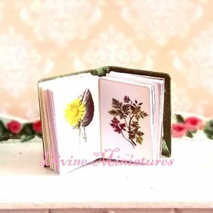 Familiar Wildflowers, 1:12 Scale Dollhouse Miniature Antique Style, Dollhouse Book, Botanical Book, Flower Book, AU SHIPPING