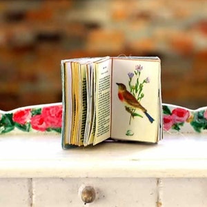 May include: A miniature open book with a bird illustration, resting on a white table with floral accents. The book's pages are visible, and the table has two drawers with brass knobs. The text "Divine Miniatures" is at the top.