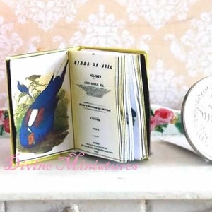 Birds of Asia Volume 9 of 12, Real Miniature Book, 1/12 Scale, Dollhouse Miniature, Dollhouse Book, Tiny Book, Booklover Gift, AU SHIPPIING