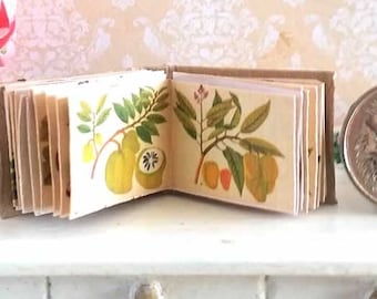 Tiny Art Book Album of Chinese Fruit and Flowers 1/12 Scale, US POSTAGE