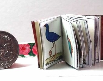 Birds - Miniature Antique Dollhouse Library Book 1:12 Scale, Red Cover US POSTAGE