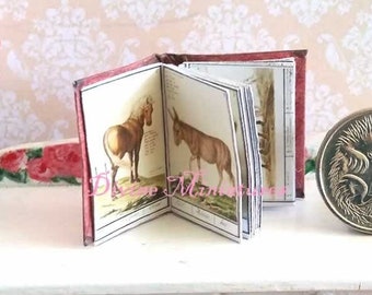 Biblioteca em miniatura, livros minúsculos, miniatura de casa de bonecas antiga, livro Animalium do século XVI, decoração de biblioteca de casa de bonecas, CORREIO AU