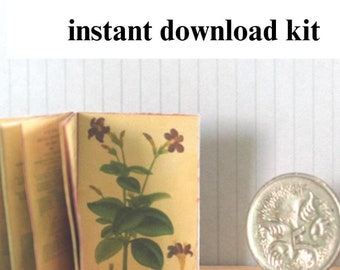 Miniature Printable Botanists Repository,  1/12 Scale Digital Download DIY Dollhouse, Tiny Botanical Books