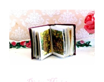 Royal Natural History Book, Victorian Dollhouse, 1/12 Scale Miniature AU POSTAGE