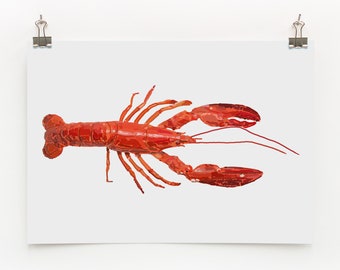 Lobster Digital Print
