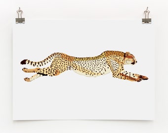 Cheetah Digital Print