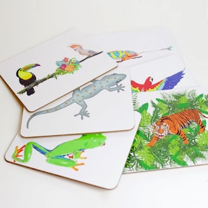 Set of Tropical Jungle animal mealmine and cork placemats including a parrot, tree frog, gecko, toucan and chameleon