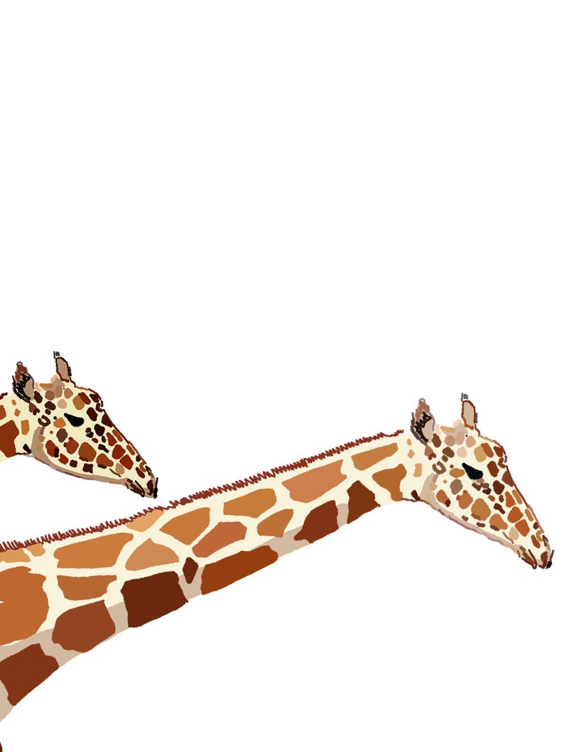 Giraffe Digital Print image 2