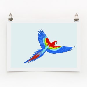 Parrot Digital Print
