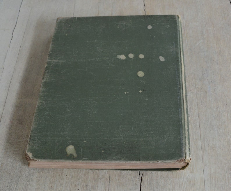 Op de afbeelding: Een donkergroen hardback boek met witte vlekken op de kaft. Het boek is gesloten en ligt op een licht houten oppervlak.