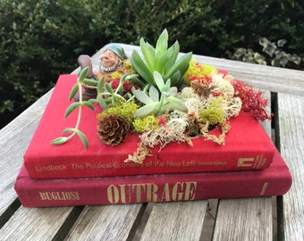 Livre upcycled jardinière, jardinière livre recyclé, Upcycled succulentes et cactus jardinière, jardinière Unique, jardin intérieur Kit, Kit de vase pour plante grasse