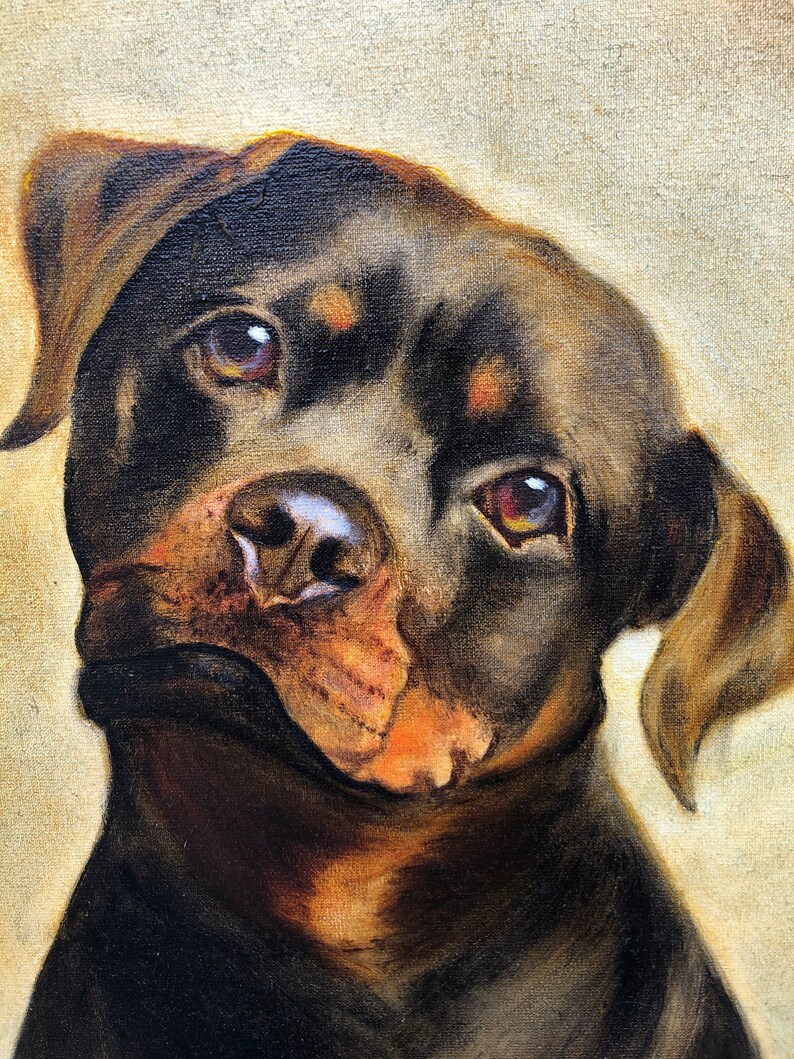 Rottweiler Puppy Oil Painting by B.kaysar Free Shipping Etsy