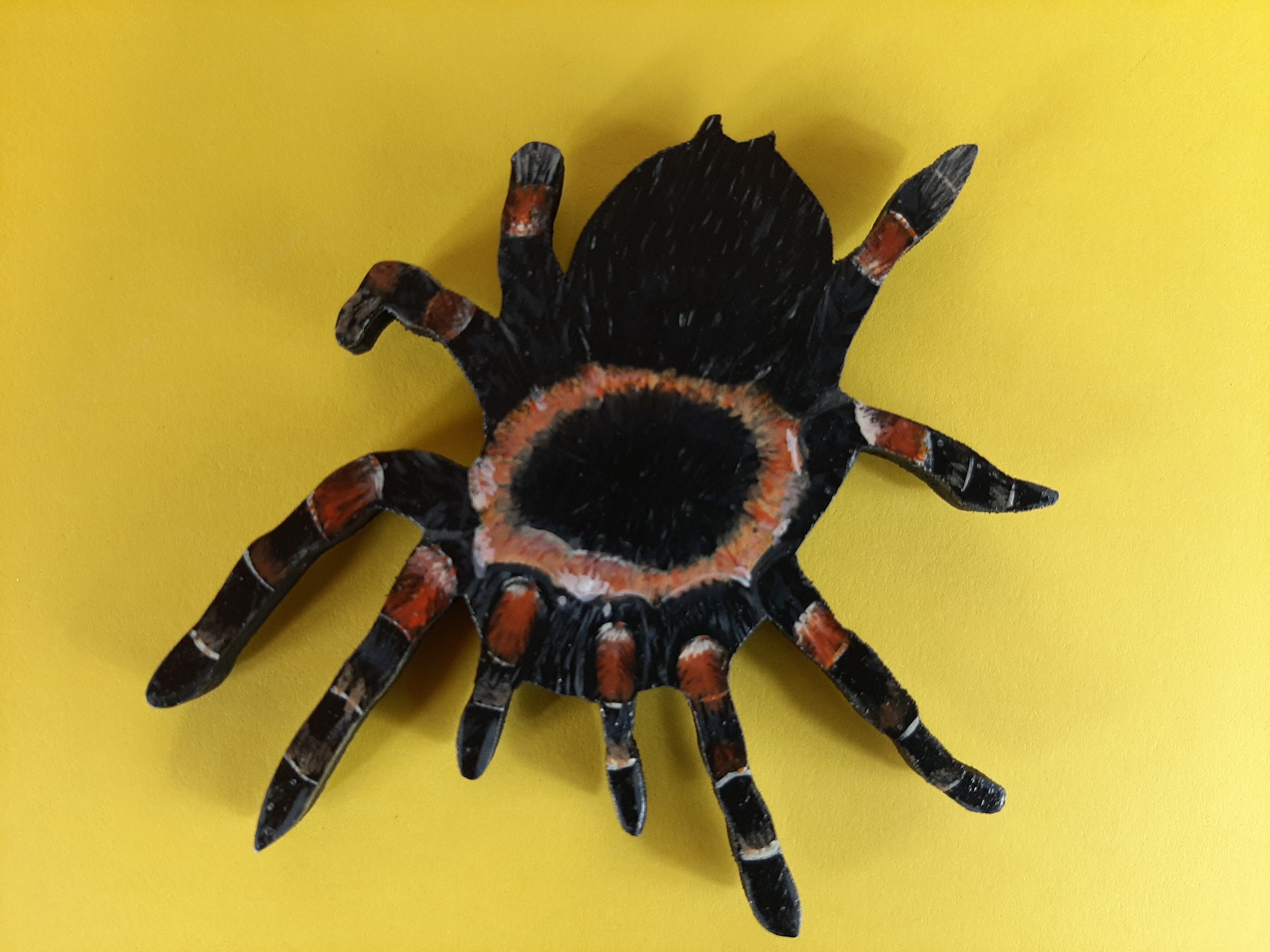 Spider Large Tarantula Tarantula Spider Etsy