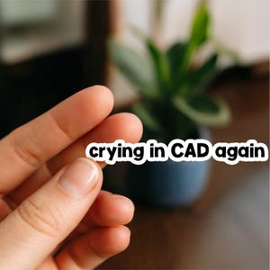 May include: A white sticker with the text "crying in CAD again" in black lettering is held by a hand. The background is blurred, featuring a small potted plant and a wooden surface.
