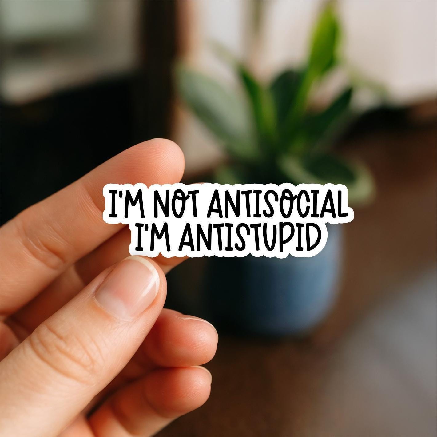 Gato Divertido Con Un Diseño De Texto Antisocial Y Antitúpido PNG
