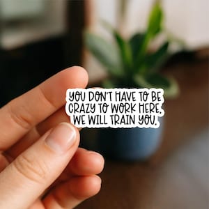 We will Train You Funny Work Sticker – Office Humor for Laptops, Water Bottles, Notebooks & More, Office sticker, coworker gift