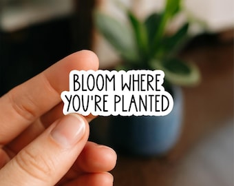 Bloom Where You’re Planted Sticker, Positive Quote Vinyl Sticker, Floral Motivational Decal for Laptop, Tumbler, Planner, Water Bottle