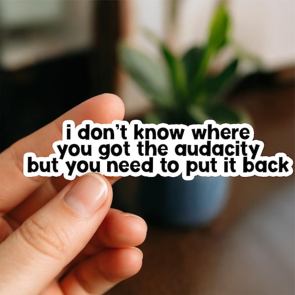 I Don't Know Where You Got the Audacity Sticker, Funny Sarcastic Sarcasm Quote Waterproof Die-Cut Stickers for Laptop, Water bottle sticker