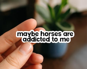 Funny Horse Lover Sticker: Waterproof Vinyl Decal