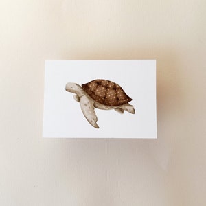 Schildkröte Karte Meerestiere, Aquarell tier, Meerestier,Postkarte schildkröte, Meerestier karte