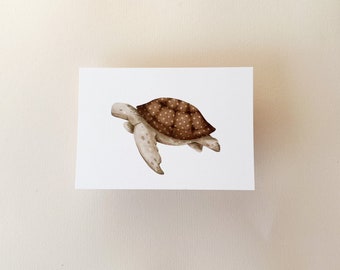 Schildkröte Karte Meerestiere, Aquarell tier, Meerestier,Postkarte schildkröte, Meerestier karte