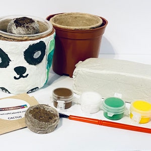 May include: A panda-themed ceramic planter with a cactus seed starter, brown, white, green, yellow, and pink paint, a paintbrush, and a bag labelled "The Craft Cabin" with the text "TheCraftCabin4.com CACTUS".