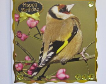 Può includere: Un biglietto d'auguri con un bordo dorato e un nastro dorato. Il biglietto presenta una foto di un cardellino posato su un ramo con fiori rosa. Il biglietto ha il testo "Happy Birthday".