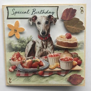 Special Birthday