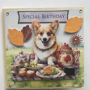 Special birthday