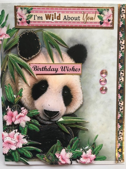 Birthday Wishes. I’m wild about you