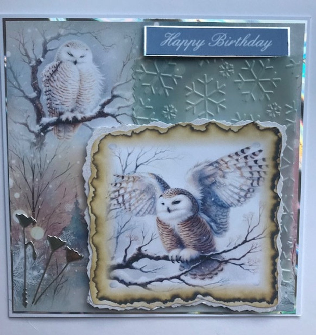Owl Happy Birthday Card, Embossed Parchment Paper Design - Etsy