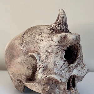 Cyclops Skull Fantasy creature Film Prop