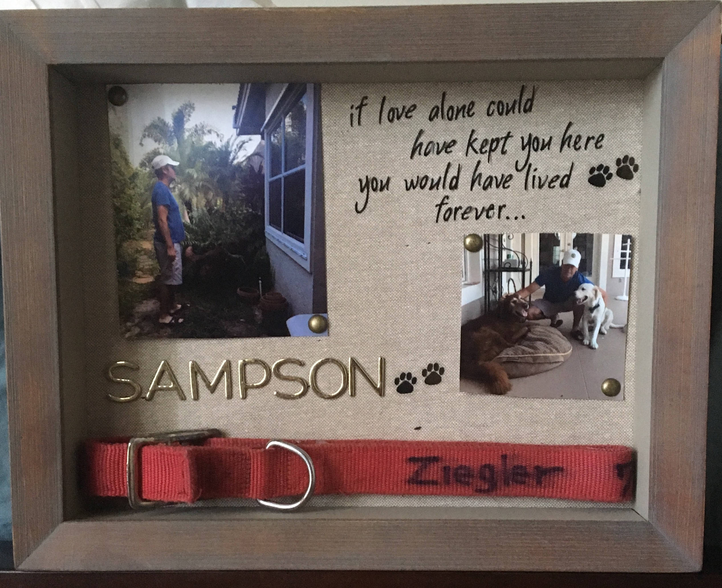 Shadow Box Memorial for Deceased Dog