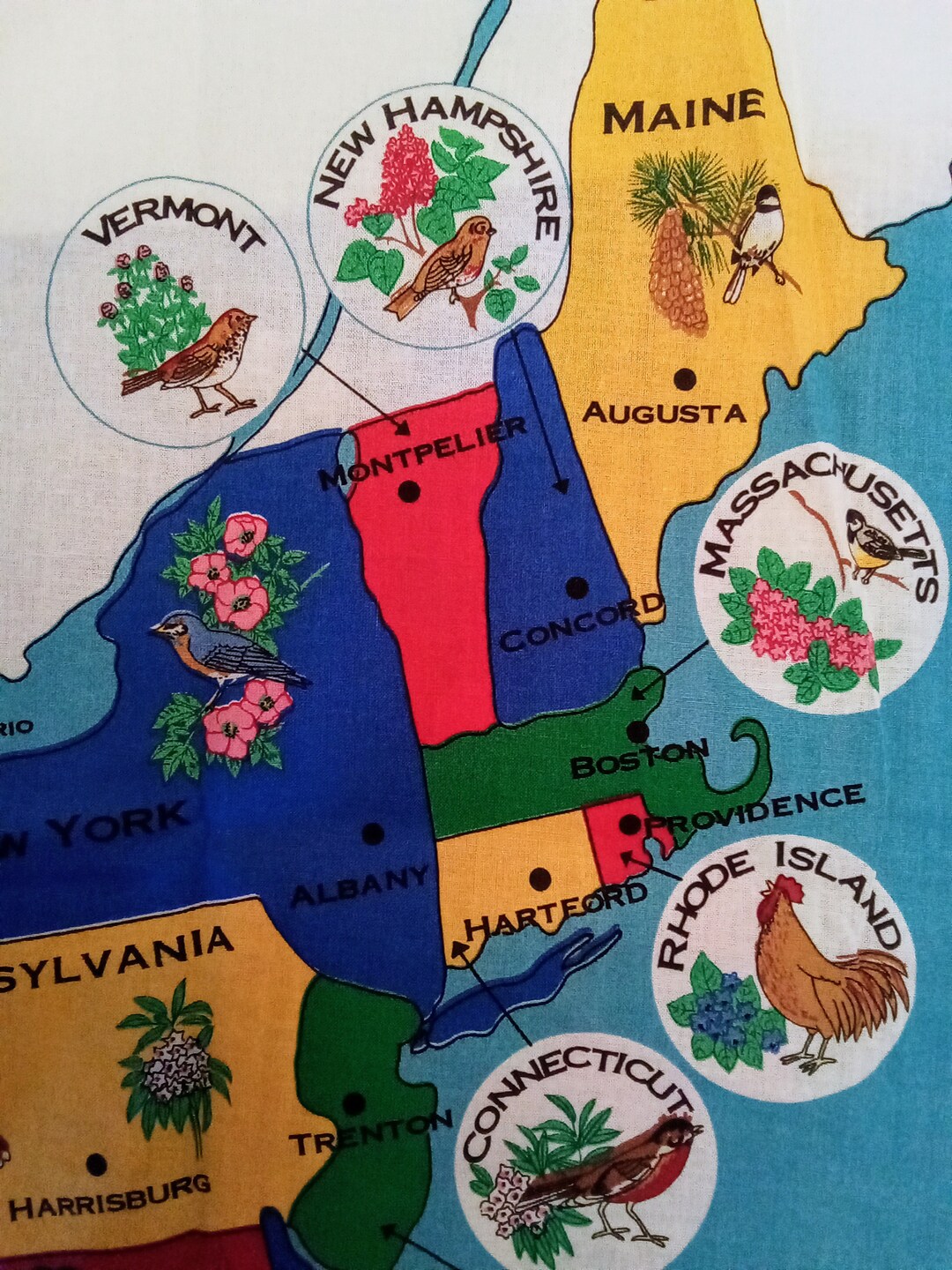 United States Map Fabric Panel - Il 1080xN.5770211980 P6t7