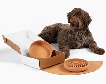 Terracotta Silicone Dog Bowl Set: Slow Feeder, Water Bowl & Mat